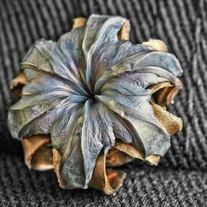 Meet your Posher, Lyssa